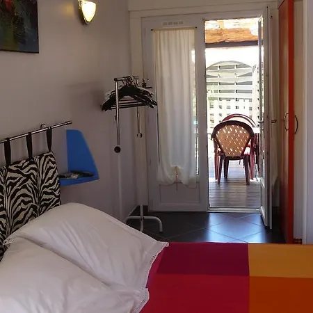 Harlequin Cournonterral