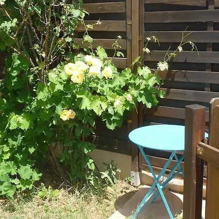 Harlequin Casa de Férias