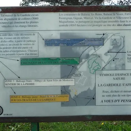 Harlequin Cournonterral