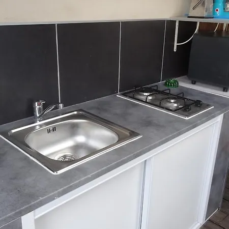 Harlequin * Cournonterral