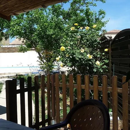 Harlequin * Cournonterral