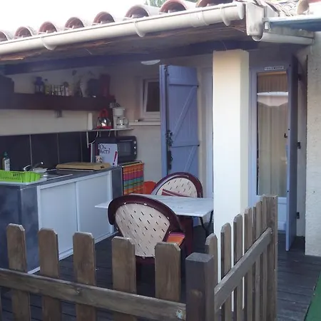 Harlequin Cournonterral