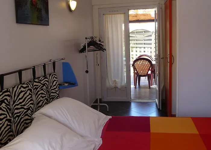 Harlequin Cournonterral