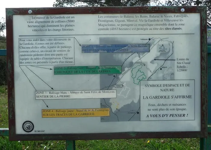 Harlequin Cournonterral