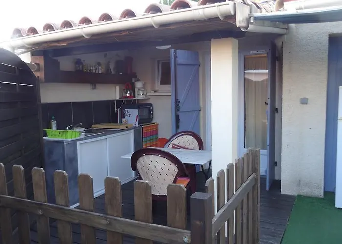 Harlequin Cournonterral